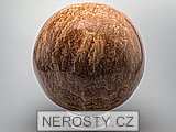 aragonite