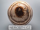 aragonite