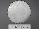 selenit <span class='neprelozeno'>(cz)</span>